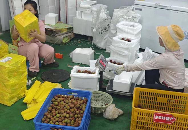 拼多多打通 “新荔枝道”，此去长安一马平川