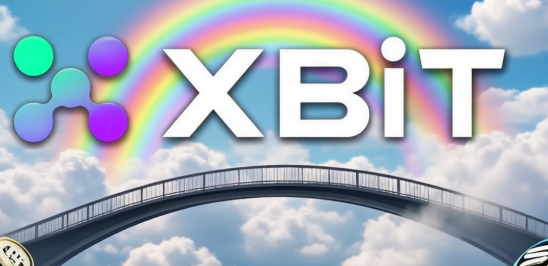 BSC淘金指南:XBIT如何助你穿越“中心化”迷雾,发现链上真Alpha? BSC淘金指南:XBIT如何助你穿越“中心化”迷雾,发现链上真Alpha?